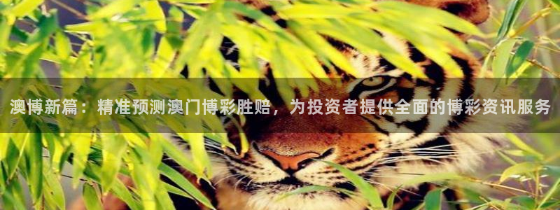 澳博新篇：精准预测澳门博彩胜赔，为投资者提供全面的博彩资讯服务
