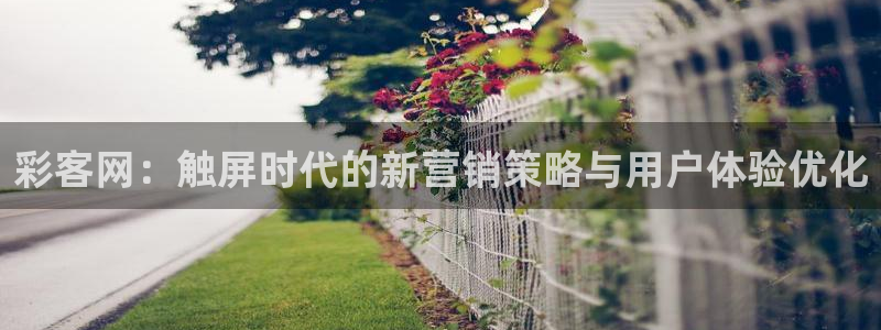 7790必发集团招商：彩客网：触屏时代的新营销策略与用户体验优化