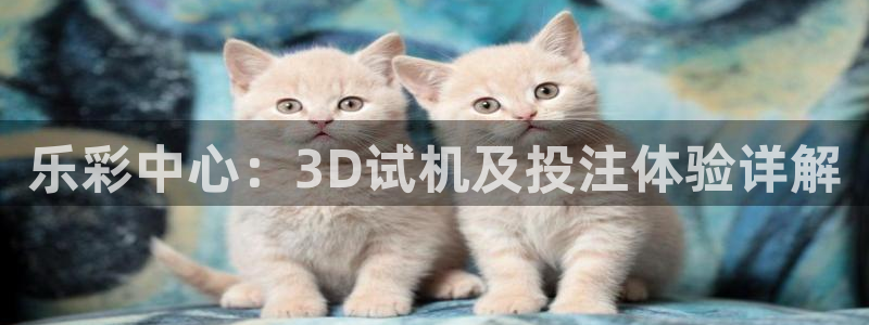 7790必发集团：乐彩中心：3D试机及投注体验详解